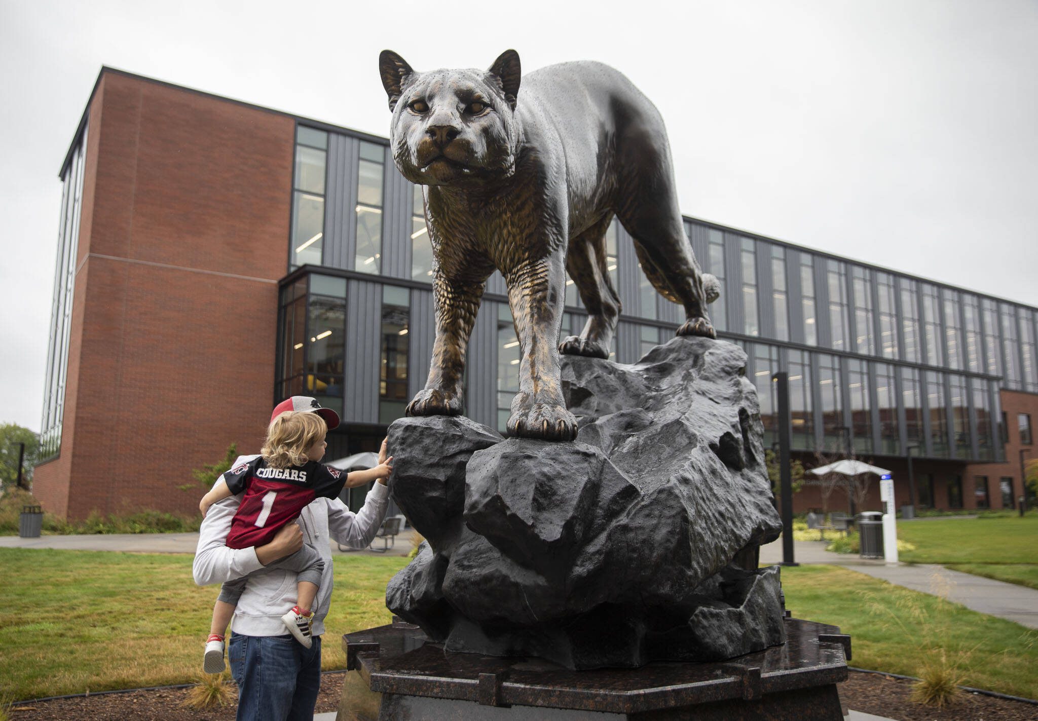 Washington State University alumni Randy Bolerjack holds his son William, 2, as he reaches out to touch the new cougar statue at the Washington State University Everett campus on Friday, Aug. 23, 2024 in Everett, Washington. The statue is one of four newly erected cougar statutes on Washington State University satellite campuses. It is slightly smaller version of the original statue on the Pullman. (Olivia Vanni / The Herald)