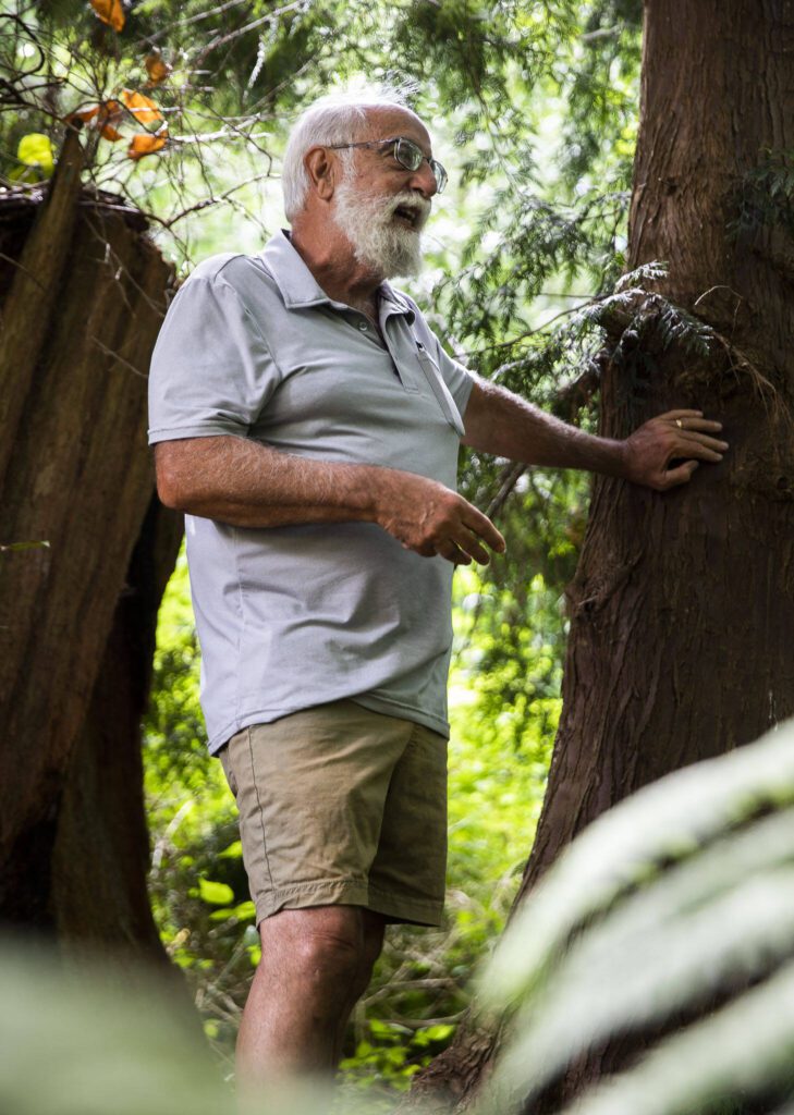 Retired fishery biologist Joe Scordino talks about some of the flooding that has happened along Perrinville Creek on Tuesday, July 30, 2024 in Edmonds, Washington. (Olivia Vanni / The Herald)

