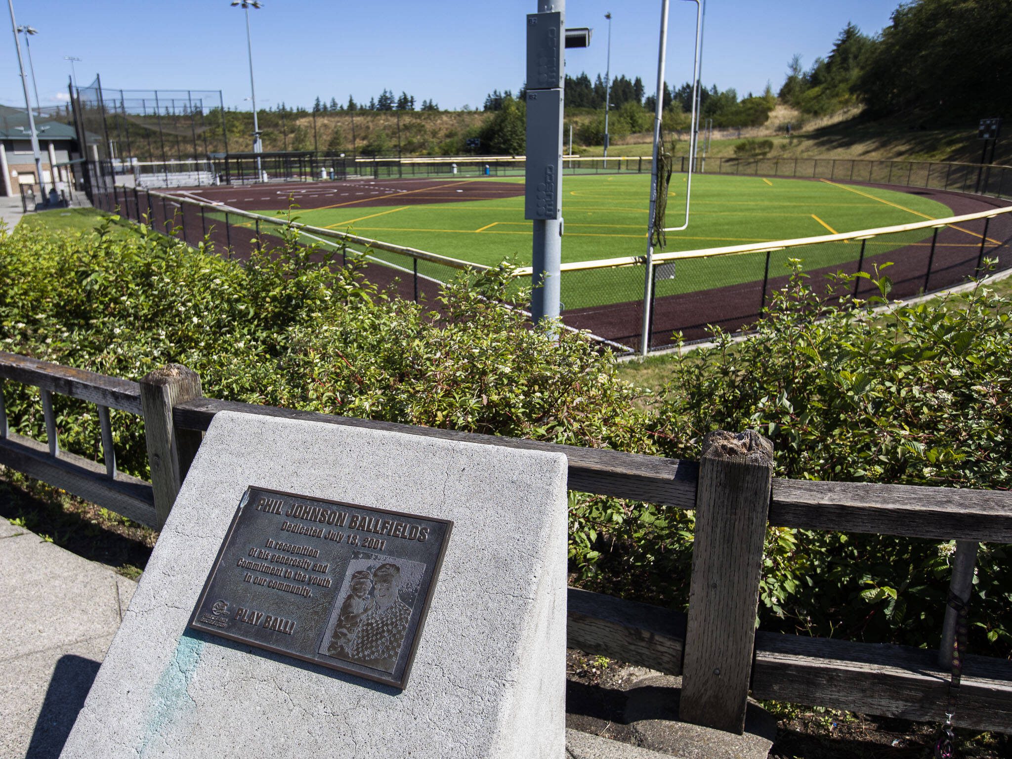New turf at the Phil Johnson Ballfields on Wednesday, Aug. 28, 2024 in Everett, Washington. (Olivia Vanni / The Herald)