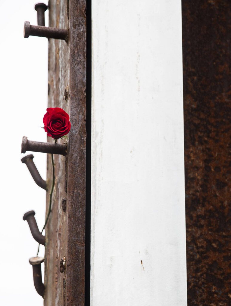 A single red rose rests on the beam recovered from the collapsed World Trade Center on Wednesday, Sept. 11, 2024, in Edmonds, Washington. (Olivia Vanni / The Herald)
