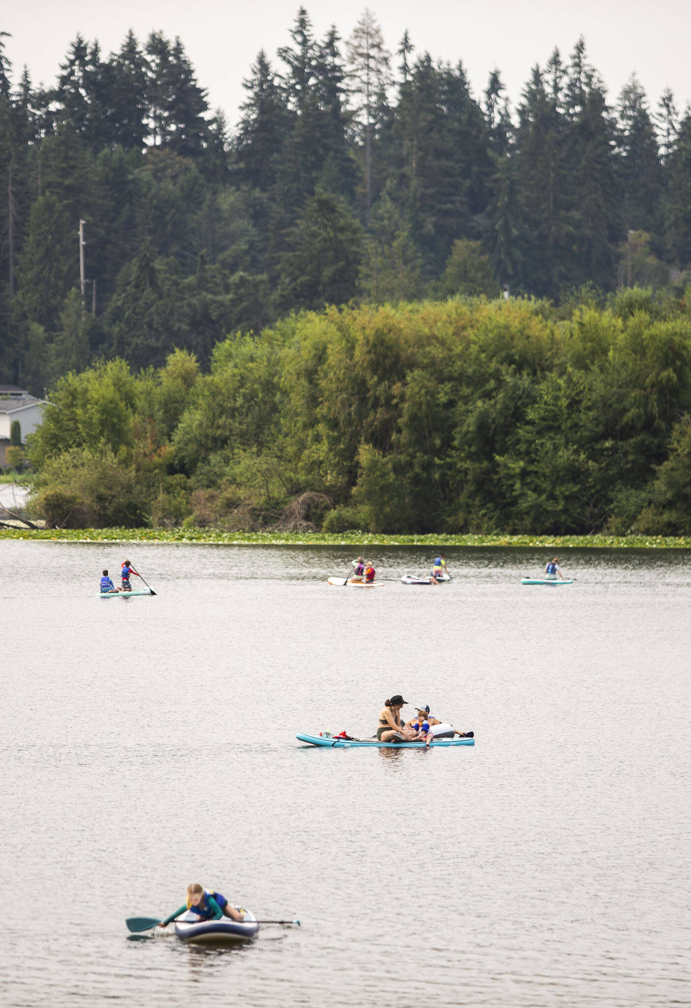 Paddleboarders float on the water at Lake Ballinger on Aug. 9. (Olivia Vanni / The Herald)