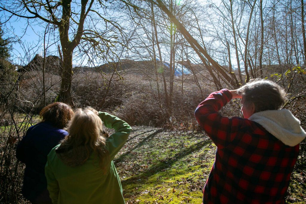 Neighbors stand in Lisa Jansson’s yard to get a view of the wall of processed wood remains, or “hog fuel,” building up along the property’s border with DTG Enterprises. (Ryan Berry / The Herald)
