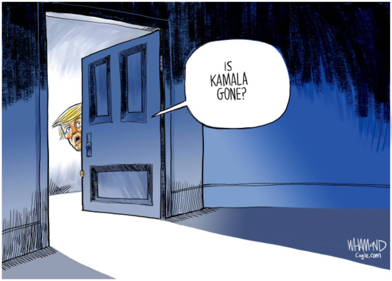 toon