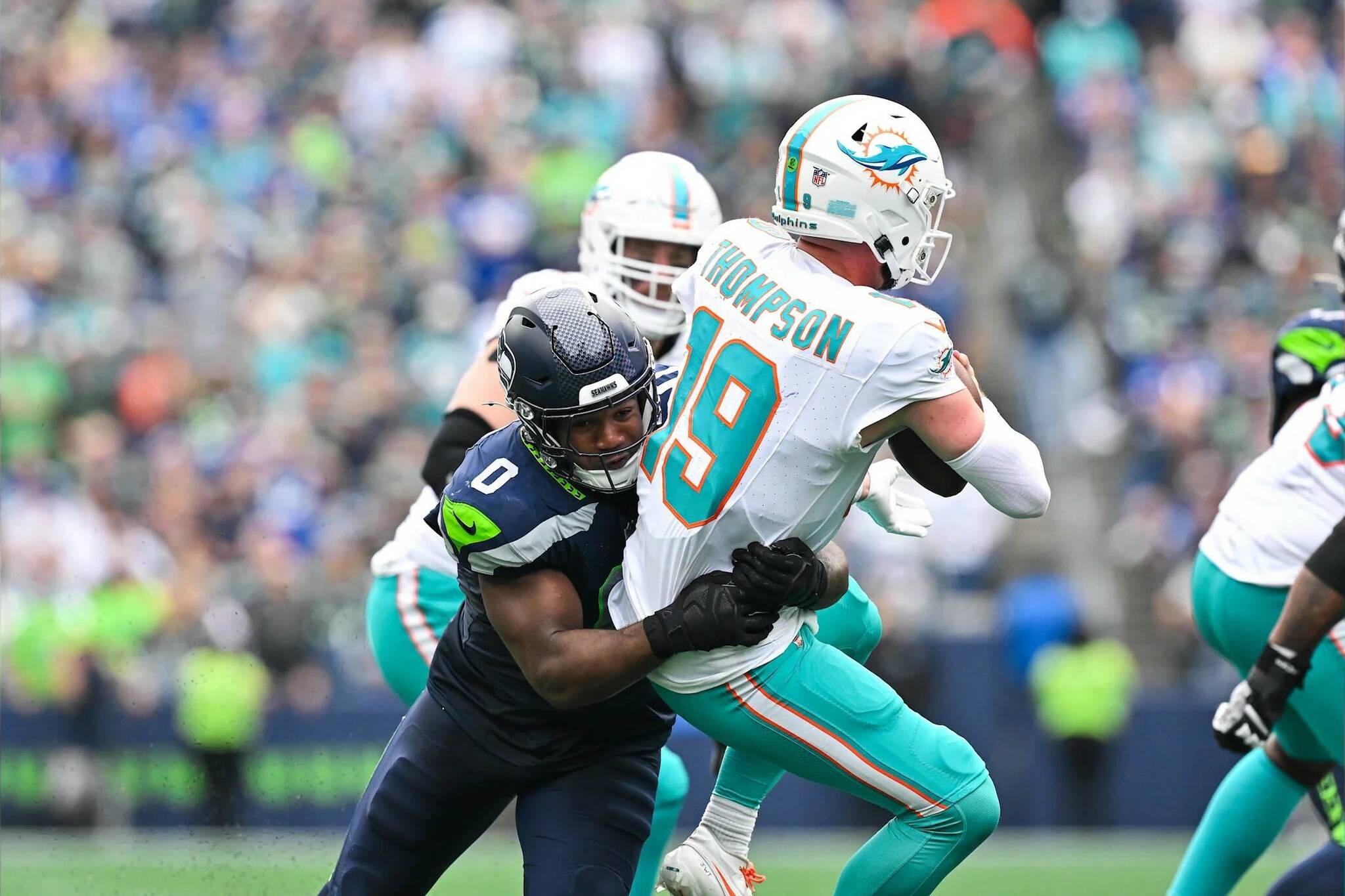 Seahawks linebacker Tyrel Dodson (0) sacks Miami Dolphins quarterback Skylar Thompson (19) in Seattle’s 24-3 victory at Lumen Field on Sept. 22, 2024. (Photo courtesy of the Seattle Seahawks)
