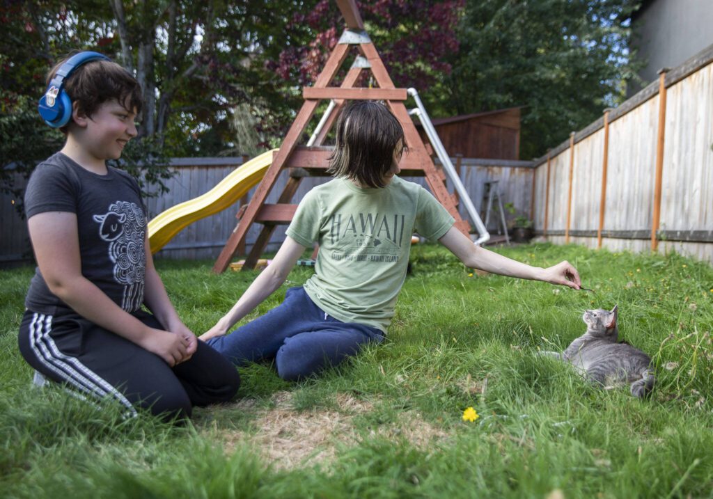 Vincent Knapp, center, and brother Miles, play with their cat Jersey at their home on Tuesday, Sept. 24, 2024 in Arlington, Washington. (Olivia Vanni / The Herald)

