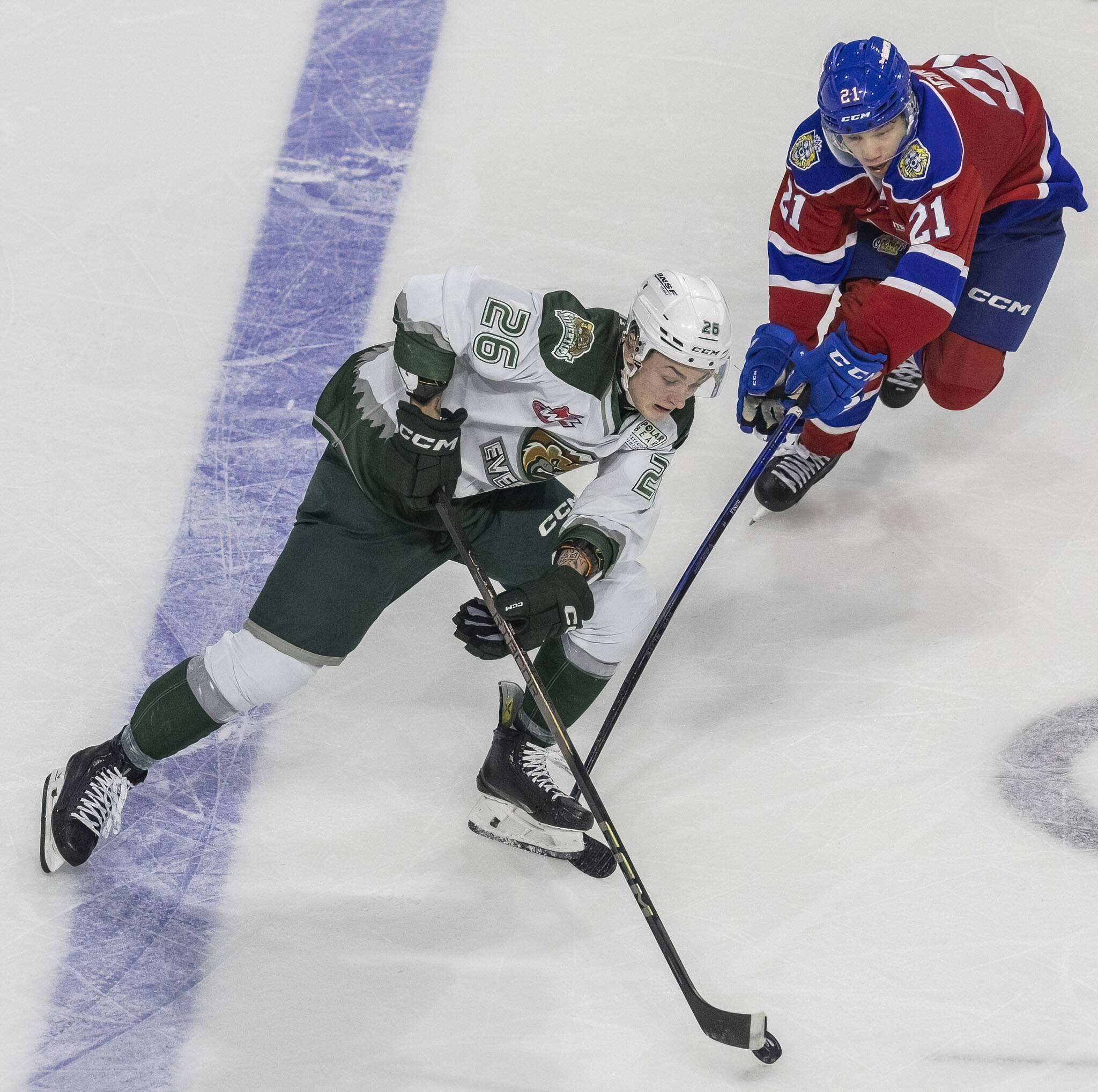 Silvertips’ Andrew Petruk maneuvers around an Edmonton player as he skates across center ice during the game against the Edmonton Oil Kings on Friday, Oct. 25, 2024 in Everett, Washington. (Olivia Vanni / The Herald)