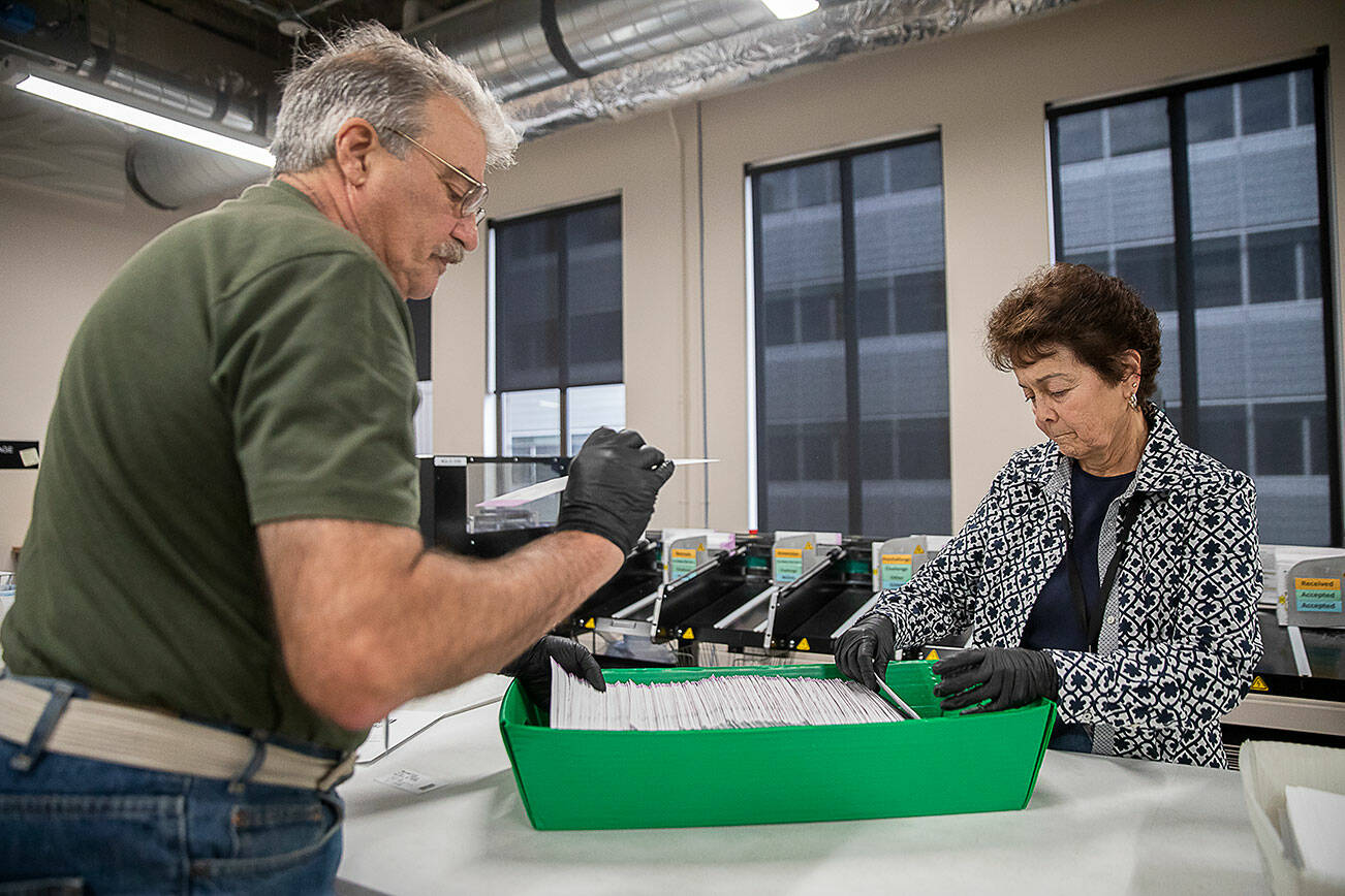 Snohomish County Elections employees Frank Monkman, left, and Tina Ruybal, right, place sorted ballots in a green container on Tuesday, Oct. 29, 2024 in Everett , Washington. (Olivia Vanni / The Herald)