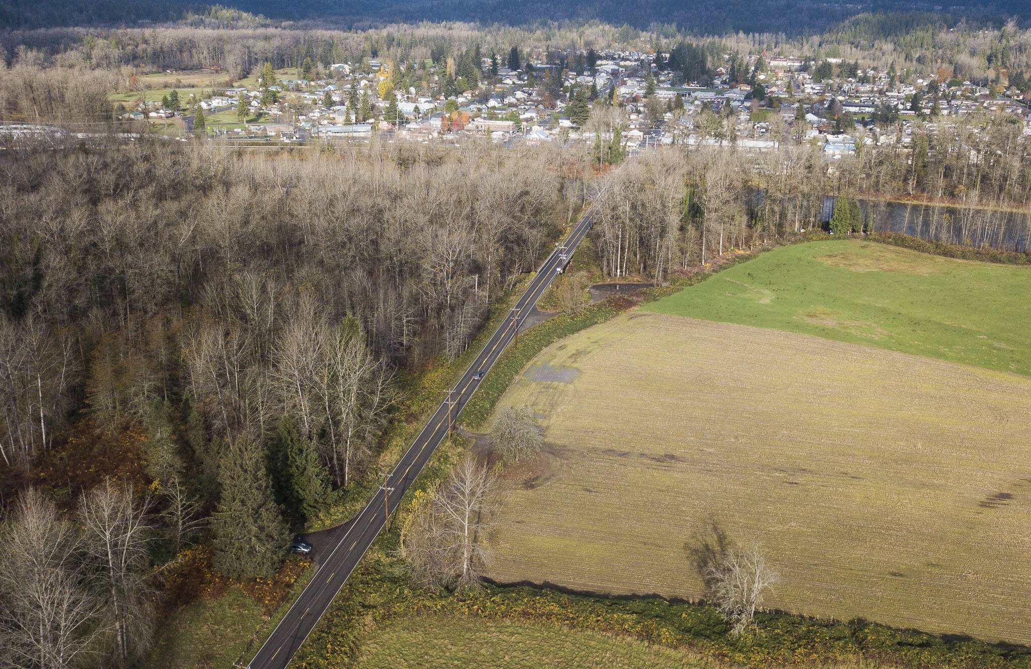 A view of the Shinglebolt Slough restoration project area on Friday, Nov. 15, 2024 in Sultan, Washington. (Olivia Vanni / The Herald)