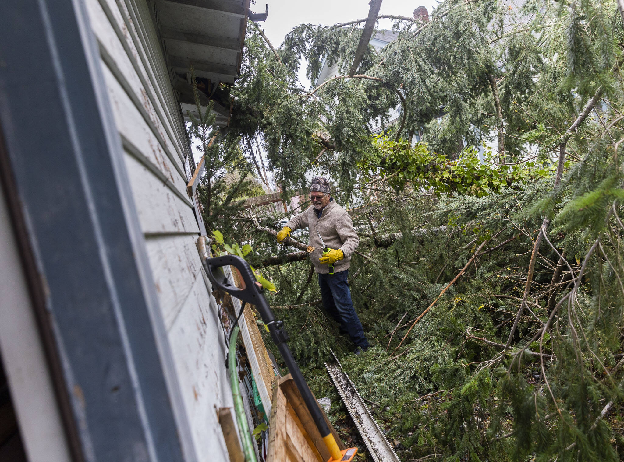Doug Turner attempts to clear two downed trees off of the roof of his garage on Wednesday, Nov. 20, 2024 in Lake Stevens, Washington. (Olivia Vanni / The Herald)