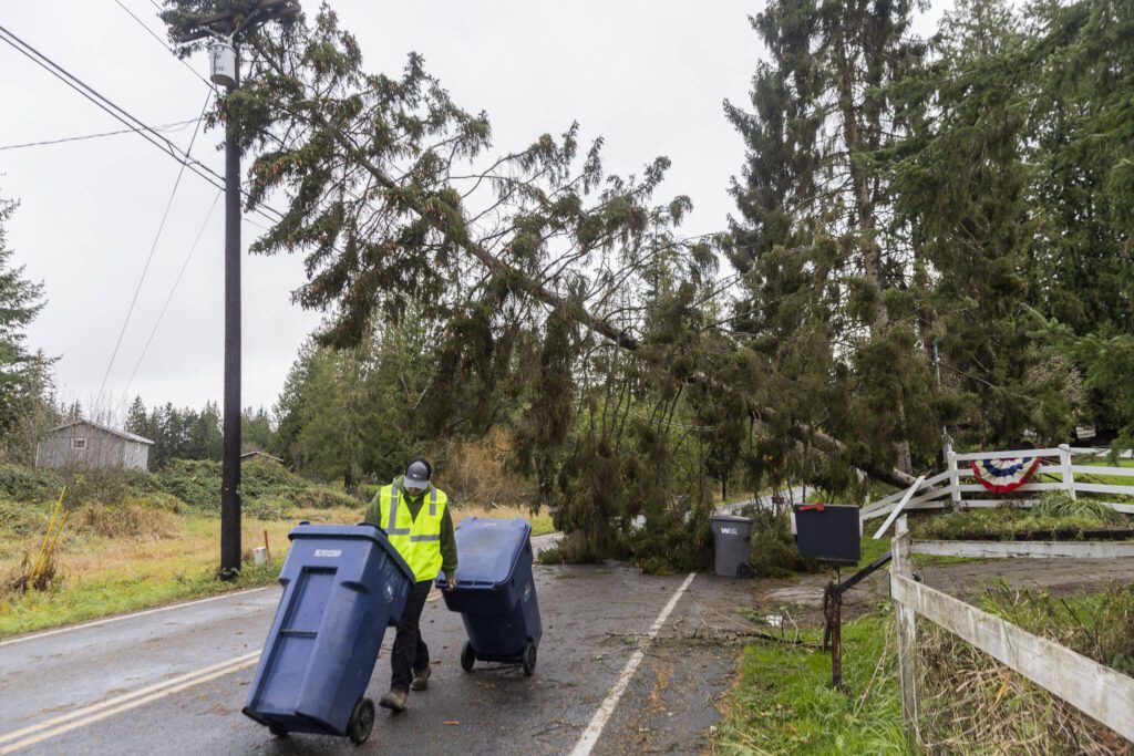 Izaac Ross with Waste Management walks two bins back to his truck parked behind a road close sign due to a downed tree on his route along South Lake Stevens Road on Wednesday, Nov. 20, 2024 in Lake Stevens, Washington. (Olivia Vanni / The Herald)
