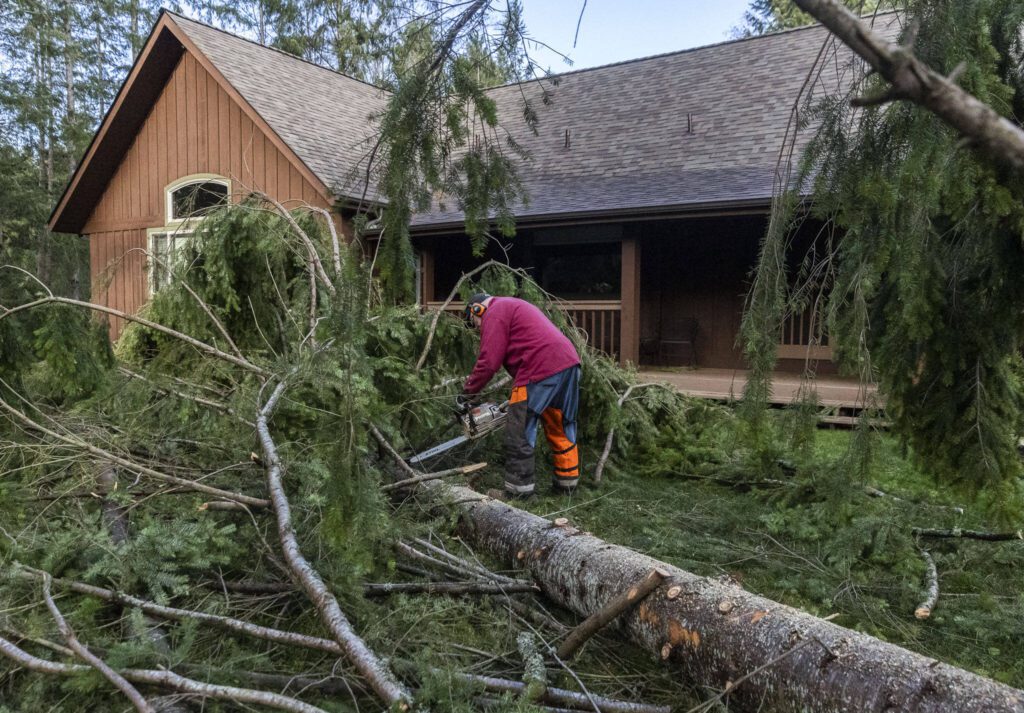 Eric Jacobsen helps the Allen family clear a downed tree away from the side of their home on Wednesday, Nov. 20, 2024 in Lake Stevens, Washington. (Olivia Vanni / The Herald)
