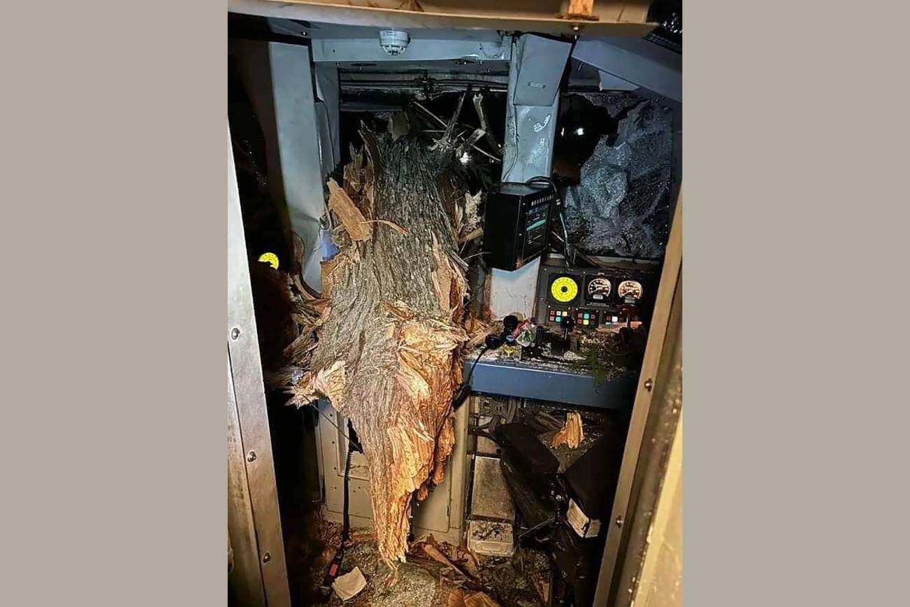 Part of a fallen tree came through an Amtrak train Tuesday night. (Photo provided by the state Department of Transportation)