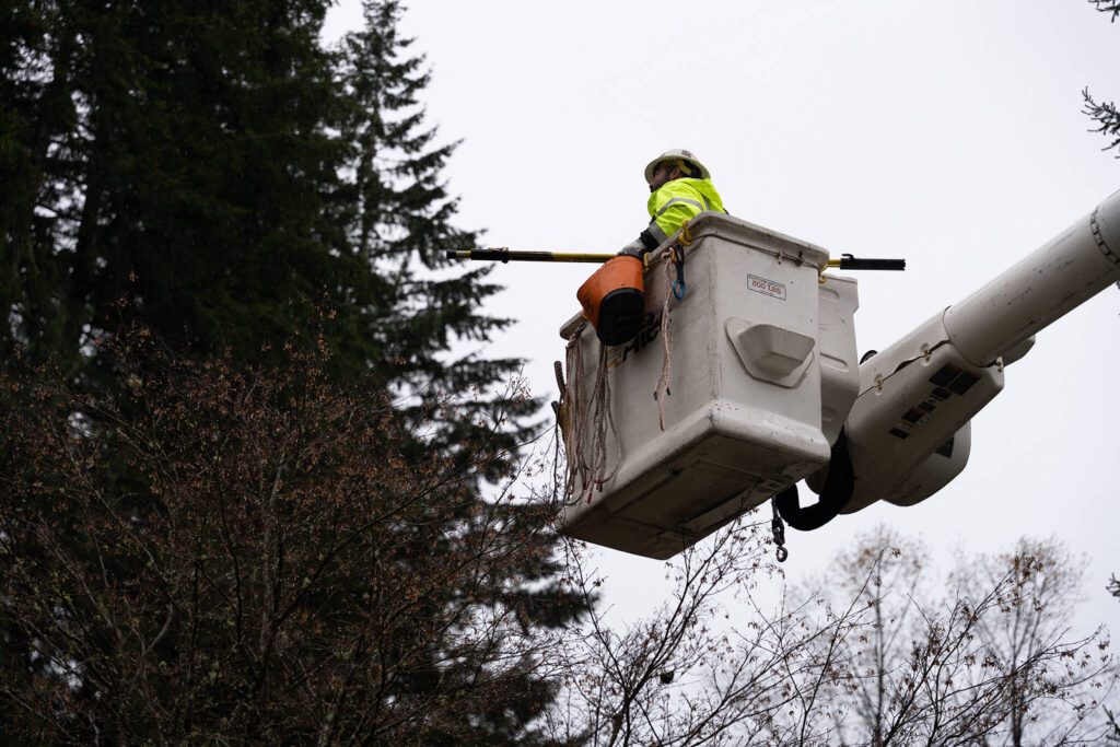 Linemen work on repairs to a power line on Friday, Nov. 22, 2024, east of Lake Stevens, Washington. (Will Geschke / The Herald)
