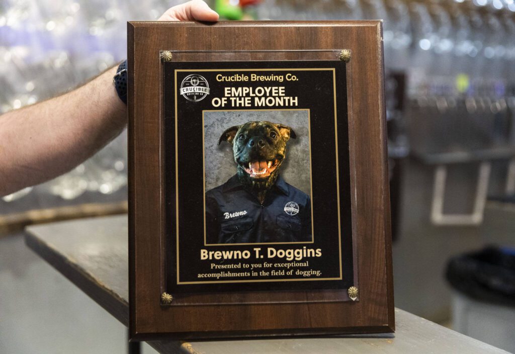 A plaque of the former Crucible Brewing owner’s dog Brewno on display at the south Everett brewery on Wednesday, Nov. 27, 2024. (Olivia Vanni / The Herald)
