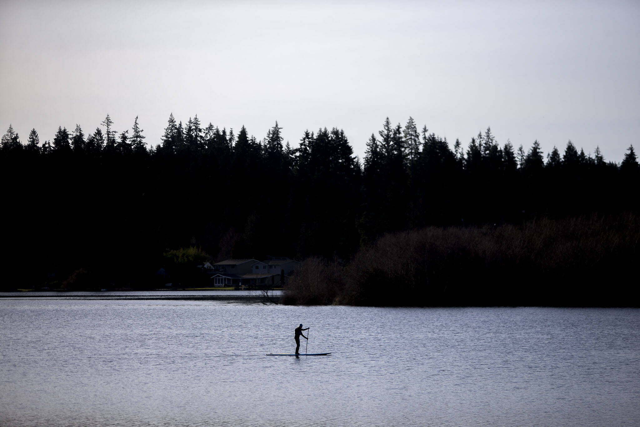 A paddleboarder makes their way across Lake Ballinger in 2023 in Mountlake Terrace. (Olivia Vanni / Herald file)