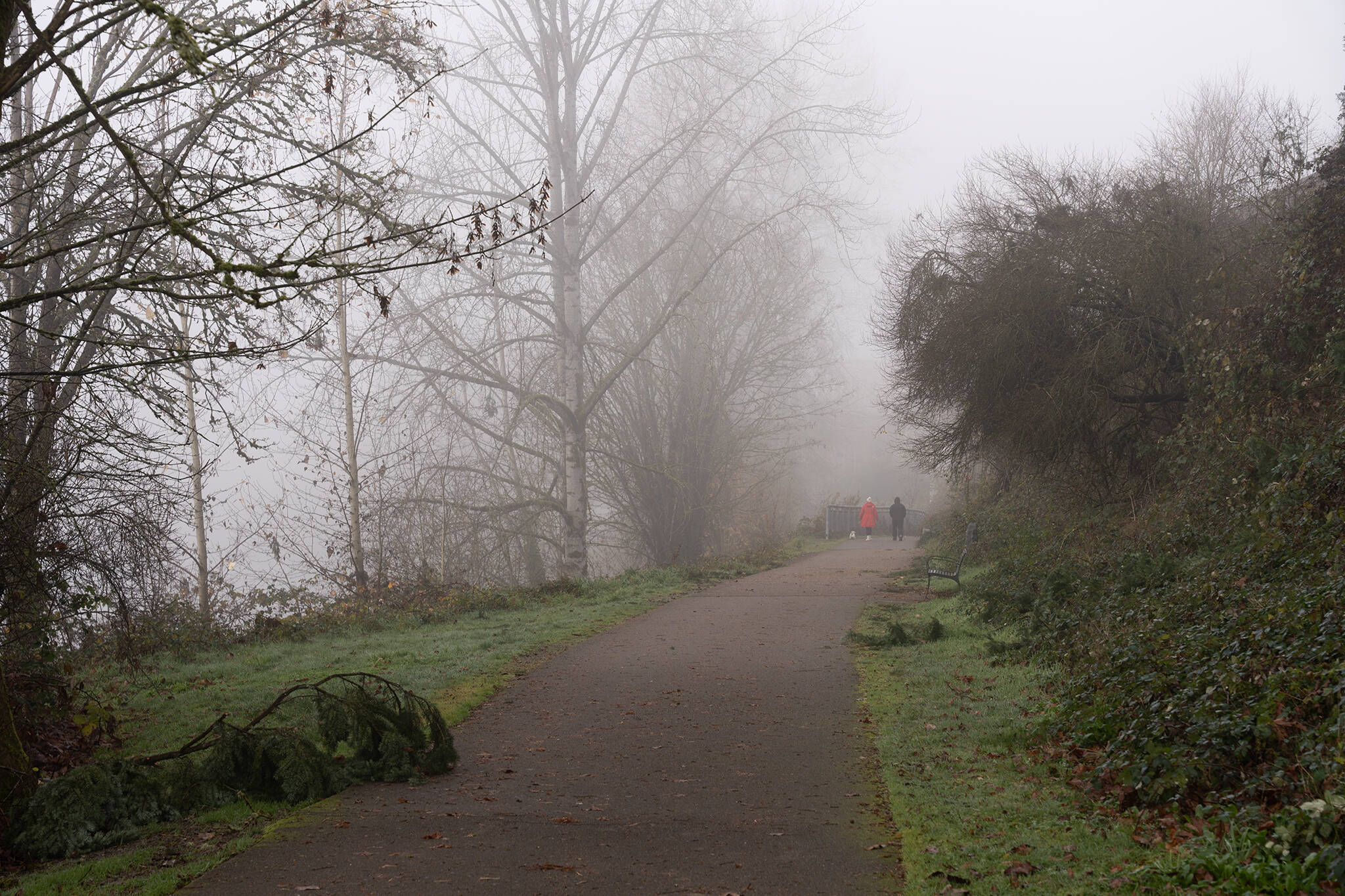 Two people walk a dog along the Snohomish River on Monday, Dec. 2, 2024, in Snohomish, Washington. A regional trail, set to be constructed nearby, would connect Snohomish and Everett. (Will Geschke / The Herald)