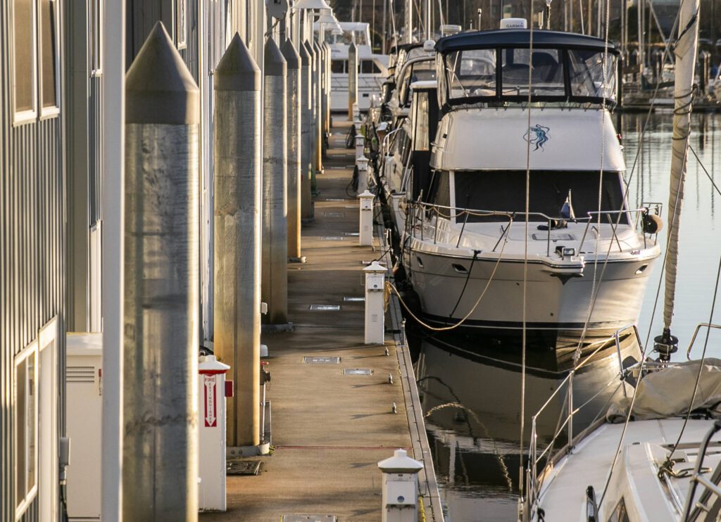 Recently upgraded dock pilings stand taller than the older dock pilings on Monday, Dec. 9, 2024 in Everett, Washington. (Olivia Vanni / The Herald)
