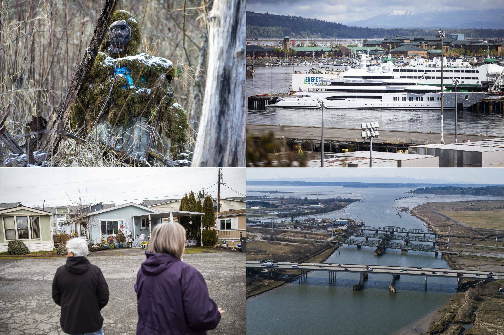 Clockwise from top left: A figure known as the Lake Stevens Bigfoot-Moss Man-Sasquatch sits among trees in Lake Stevens (Annie Barker), Amadea, a superyacht, docked at the Port of Everett on April 29 in Everett (Olivia Vanni), Royalwood Estates Mobile Home Park residents Patsy Gilbert, left, and Elna Olson, right, give a brief tour of the mobile home park on March 11 in Lynnwood (Olivia Vanni) and I-5, Highway 529 and BNSF railroad bridges cross over Union Slough, as the main routes for traffic between Everett and Marysville. (Olivia Vanni)