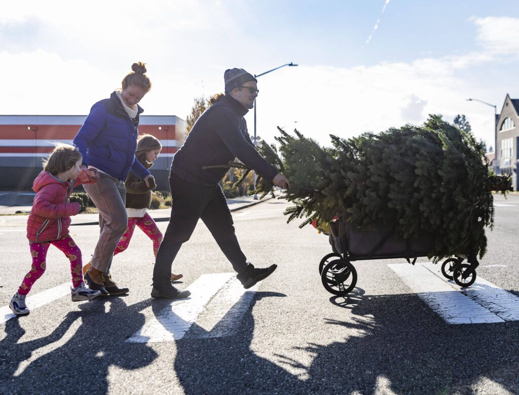 Travis Coletti, right, pushes his family’s Christmas tree across Broadway in a cart with his wife Liz Coletti and two daughters Frankie, 7, and Sicily, 4, following behind on Friday, Nov. 29, 2024 in Everett, Washington. The Coletti family has been buying their Christmas tree after Thanksgiving at County Farms and walking it back to their home for the last four years. (Olivia Vanni / The Herald)
