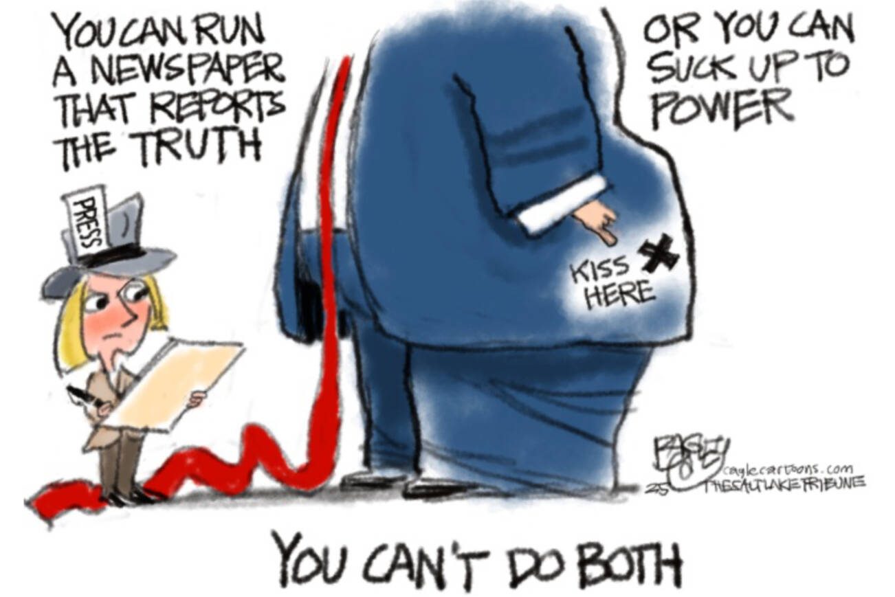 toon