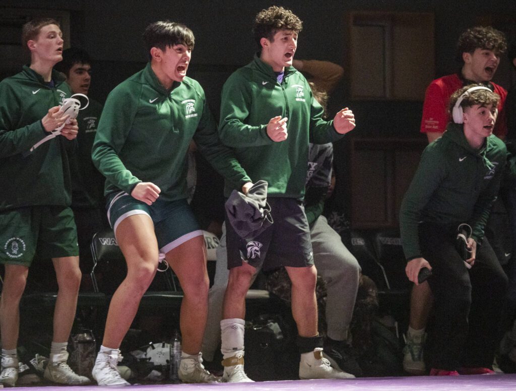 Edmonds-Woodway wrestlers react to a pin during the match against Meadowdale on Thursday, Jan. 16, 2025 in Edmonds, Washington. (Olivia Vanni / The Herald)
