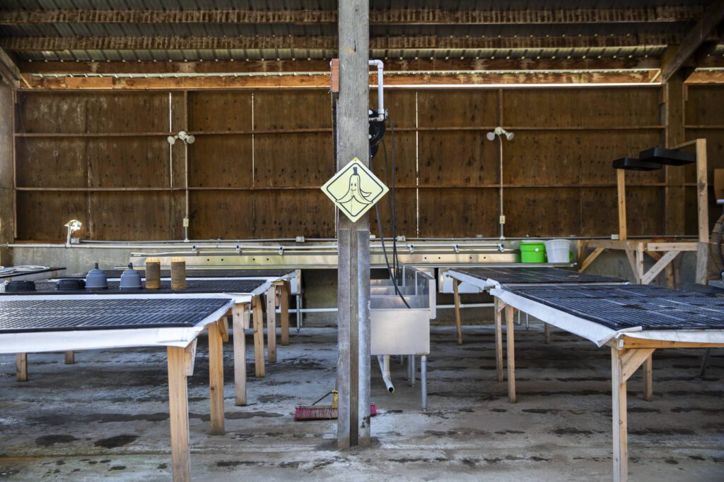 Rooted Northwest’s wash pack available to farmers that was funded by a Department of Agriculture grant on Thursday, Jan. 23, 2025 in Arlington, Washington. (Olivia Vanni / The Herald)
