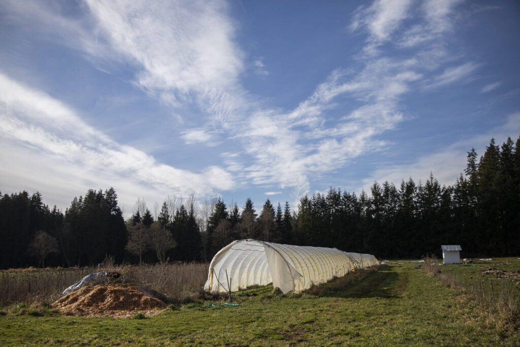 Reconnecting Roots Farm at Rooted Northwest on Thursday, Jan. 23, 2025 in Arlington, Washington. (Olivia Vanni / The Herald)
