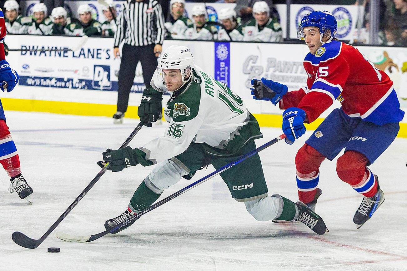 Silvertips’ Dominik Rymon maneuvers around an Edmonton player to try and get an open shot during the game against the Edmonton Oil Kings on Friday, Oct. 25, 2024 in Everett, Washington. (Olivia Vanni / The Herald)
Silvertips’ Dominik Rymon maneuvers around an Edmonton player to try and get an open shot during the game against the Edmonton Oil Kings on Friday, Oct. 25, 2024 in Everett, Washington. (Olivia Vanni / The Herald)