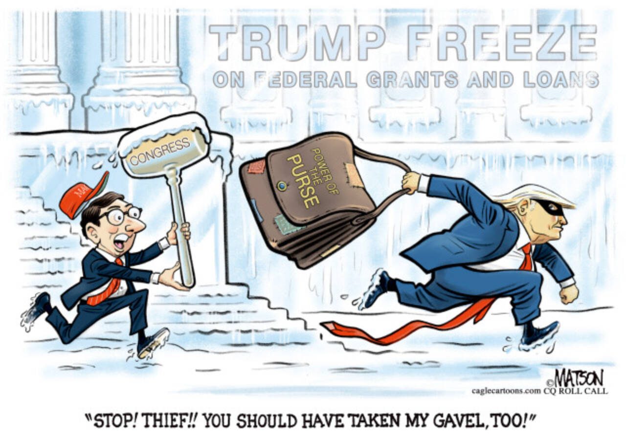 toon