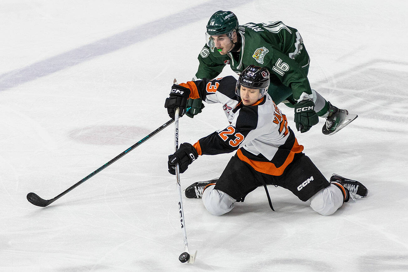 Slivertips’ Dominik Rymon has the puck taken by Medicine Hat’s Veeti Väisänen during the game on Wednesday, Jan. 29, 2025 in Everett, Washington. (Olivia Vanni / The Herald)
