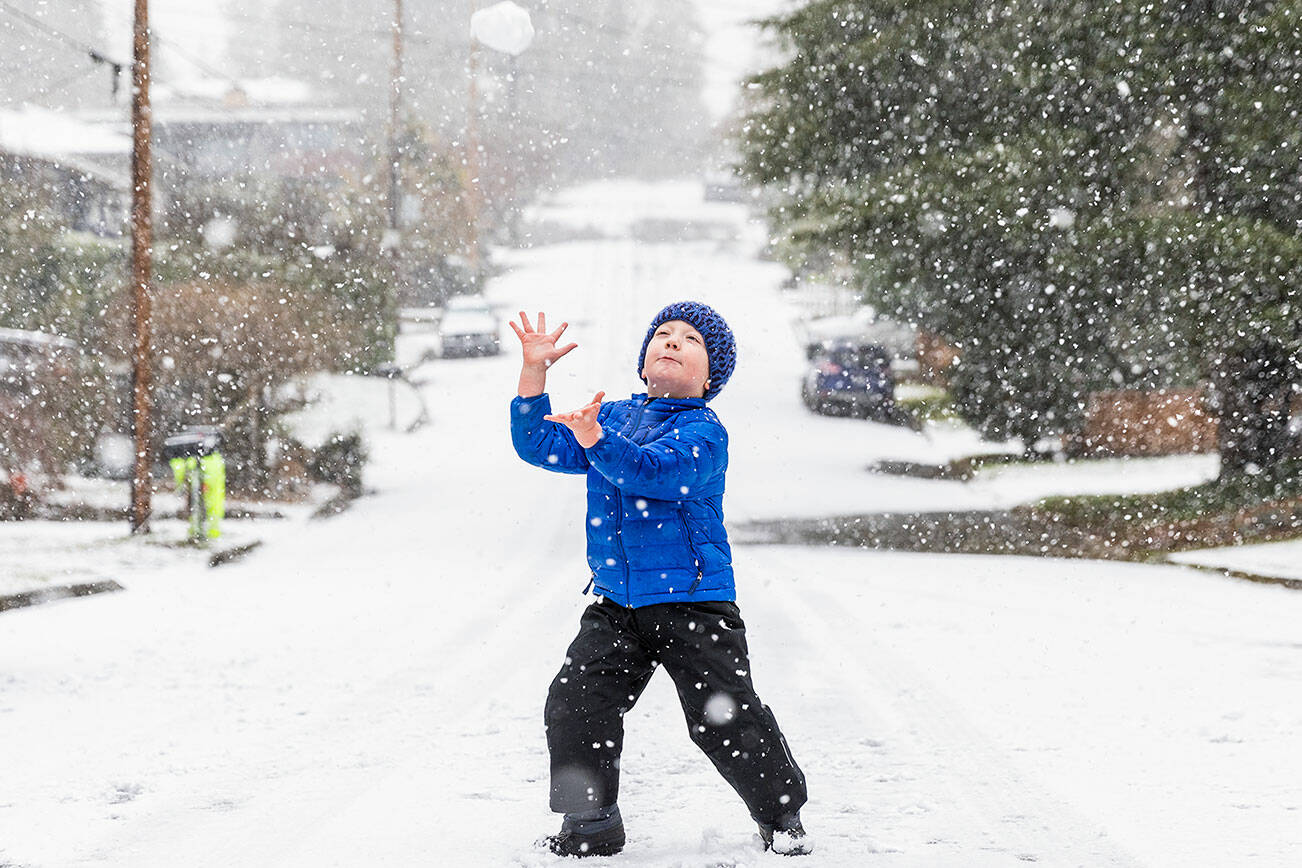 Henry Niebruegge, 5, reaches up to catch a snowball while he plays in the snow with his dad and dog along 216th Street on Monday, Feb. 3, 2025 in Edmonds, Washington. (Olivia Vanni / The Herald)