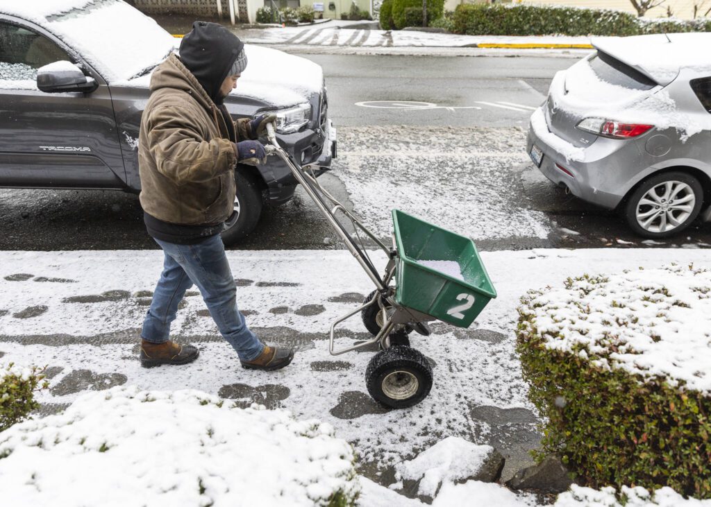 Fernando Espinoza salts the sidewalk along Fifth Avenue South on Thursday, Feb. 6, 2025 in Edmonds, Washington. (Olivia Vanni / The Herald)
