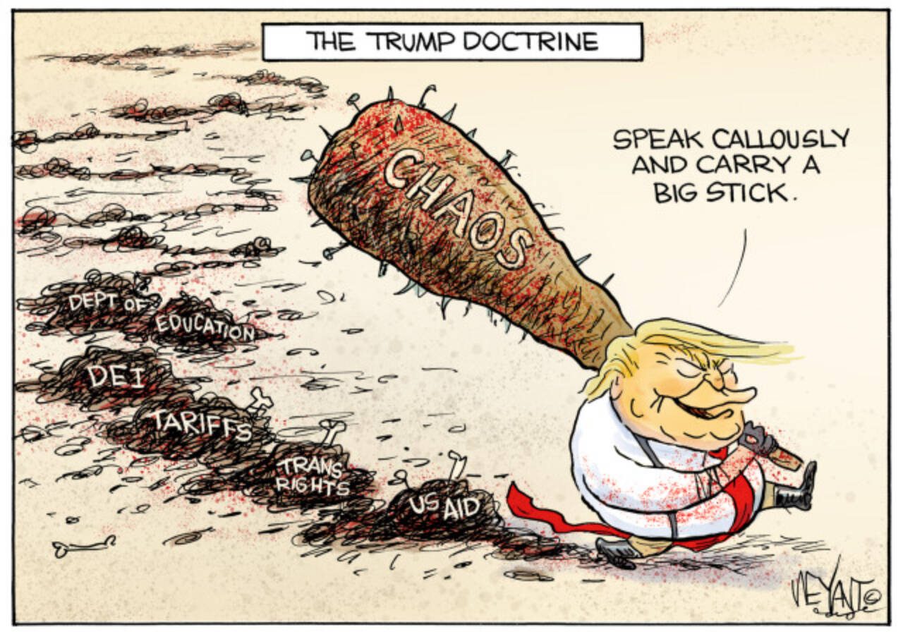 toon