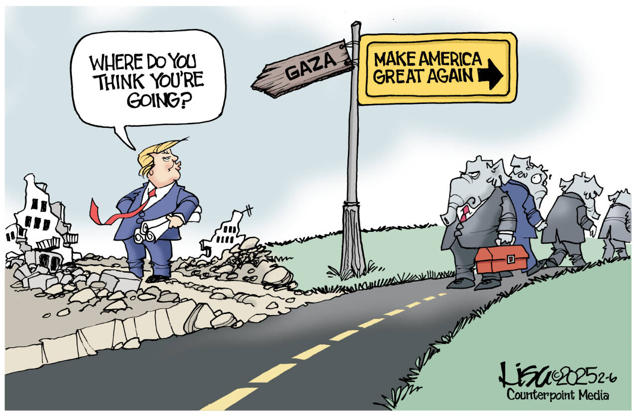 toon