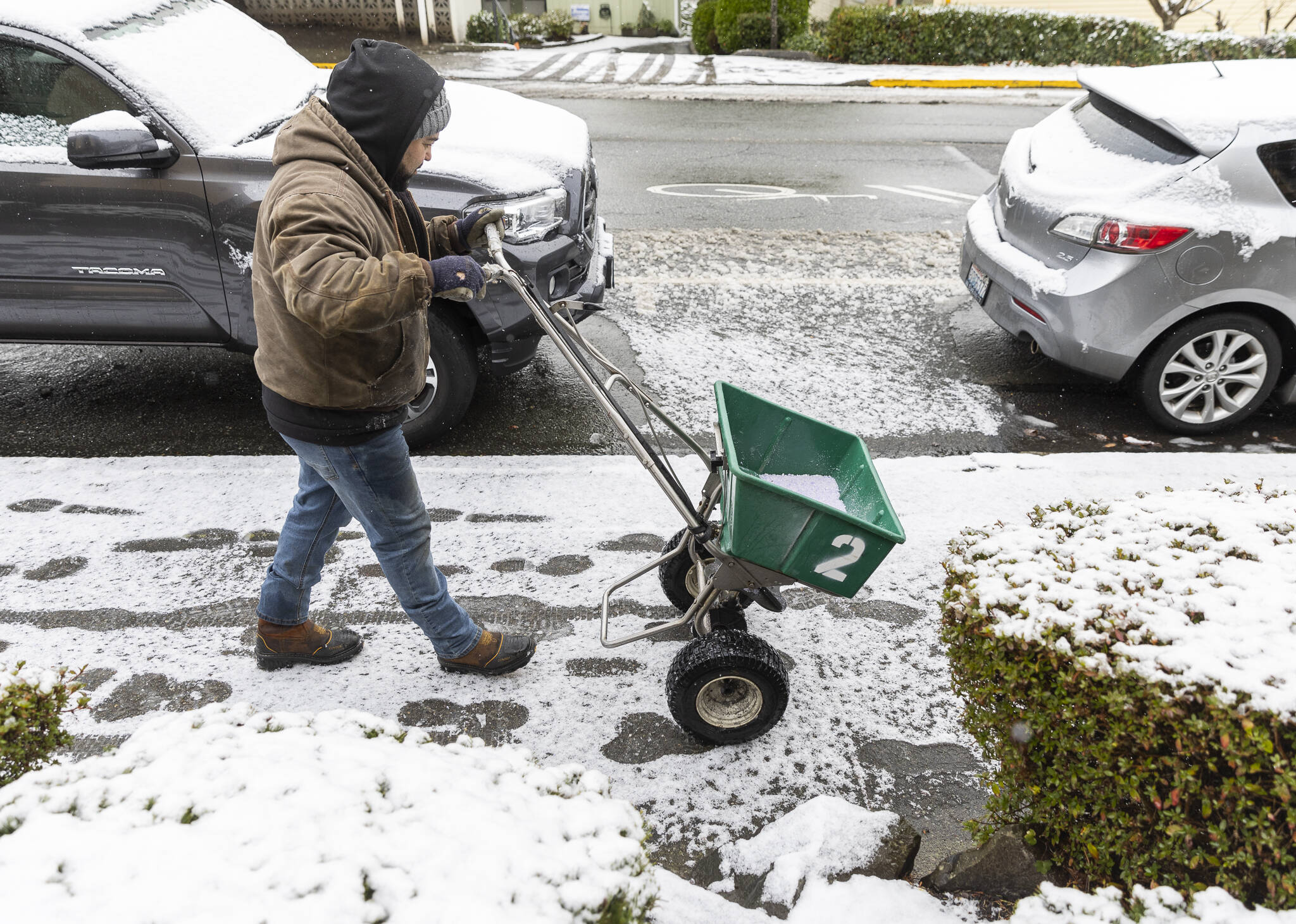 Fernando Espinoza salts the sidewalk along Fifth Avenue South on Thursday, Feb. 6, 2025 in Edmonds, Washington. (Olivia Vanni / The Herald)