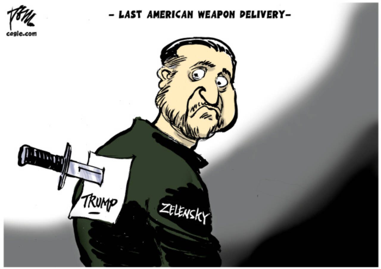 toon