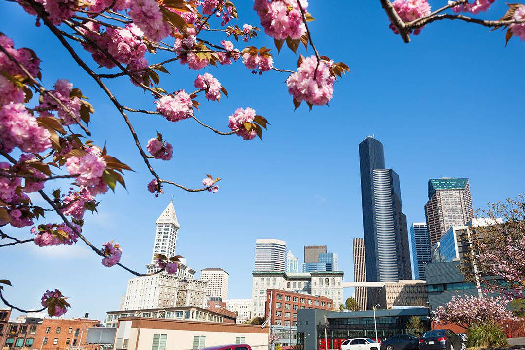 Seattle is a city made for spring explorations. Sergey Novikov // Shutterstock