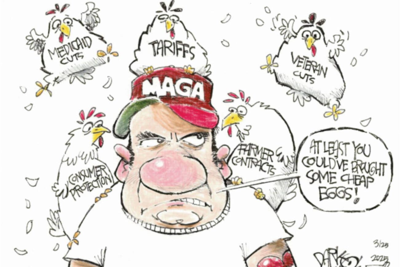 toon