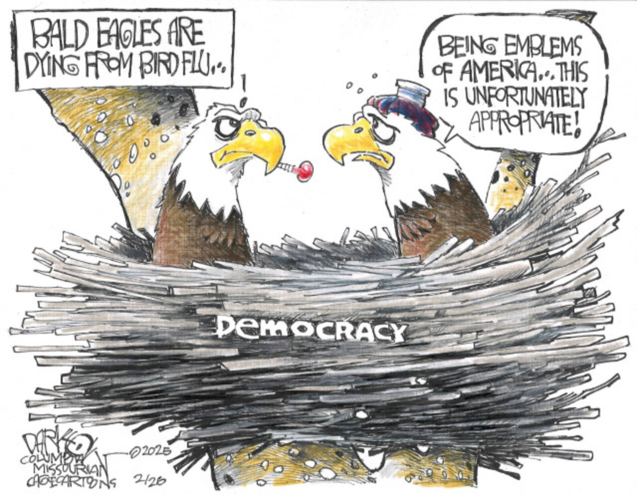 toon