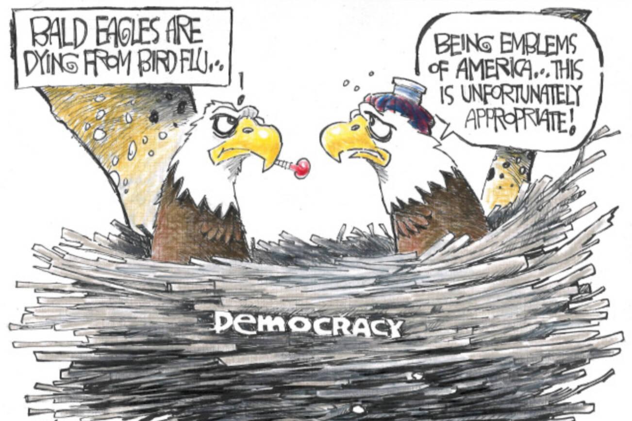 toon
