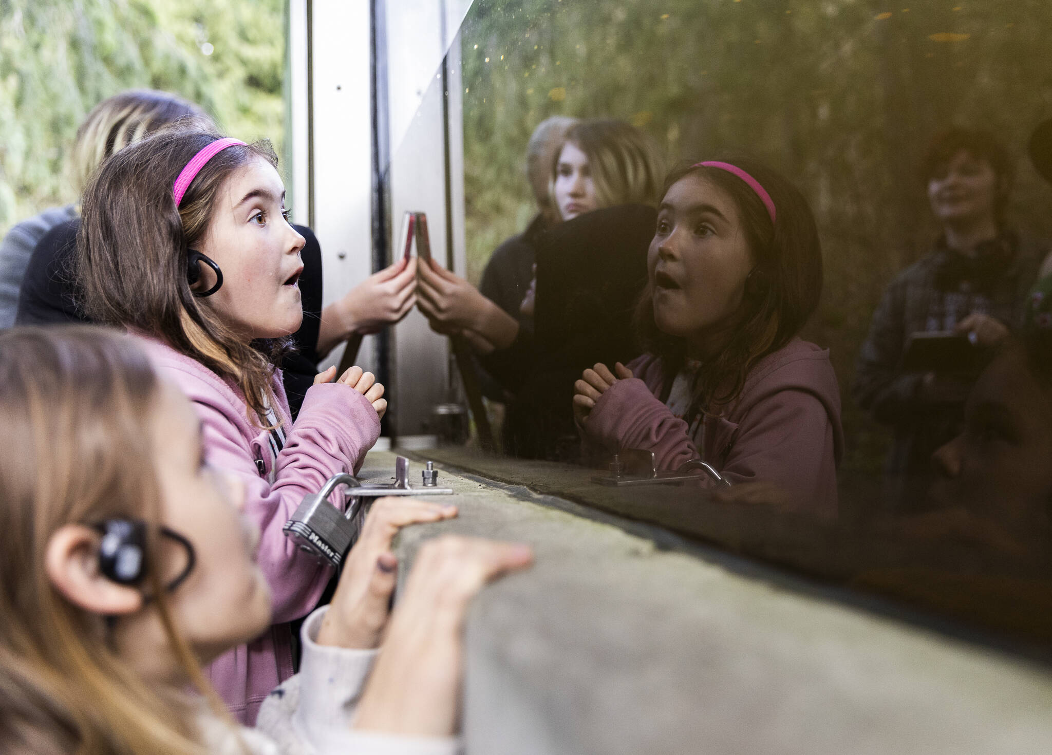 Josie Humphries, 7, reacts to a trout darting to eat a worm during a field trip with classmates from The Clearwater School at the Northwest Stream Center on Wednesday, March 5, 2025 in Everett, Washington. (Olivia Vanni / The Herald)
