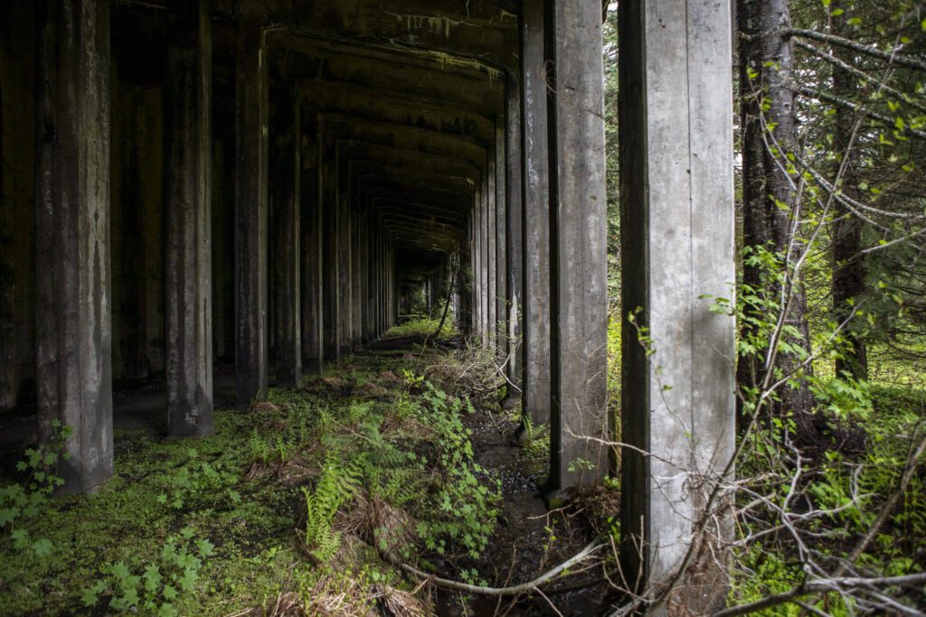 A snowshed tunnel along the Iron Goat Trail in Leavenworth, Washington on Sunday, May 19, 2024. (Annie Barker / The Herald)
