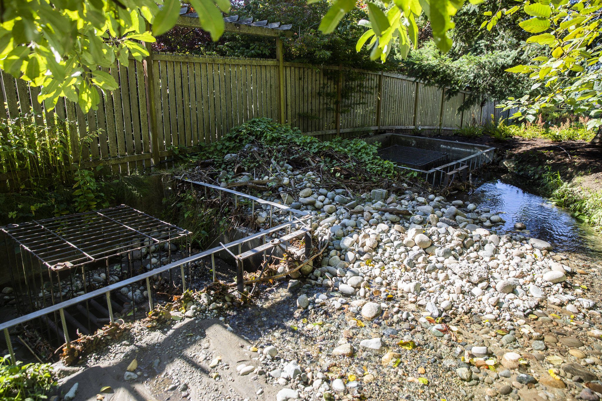 An overflow diversion structure sits along a section of Perrinville Creek near Talbot Road on Monday, Sept. 16, 2024 in Edmonds, Washington. (Olivia Vanni / The Herald)