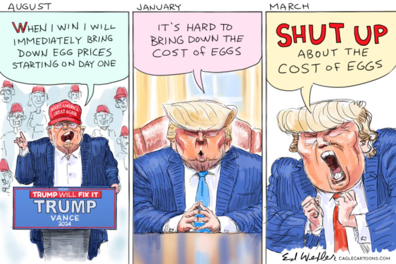 toon