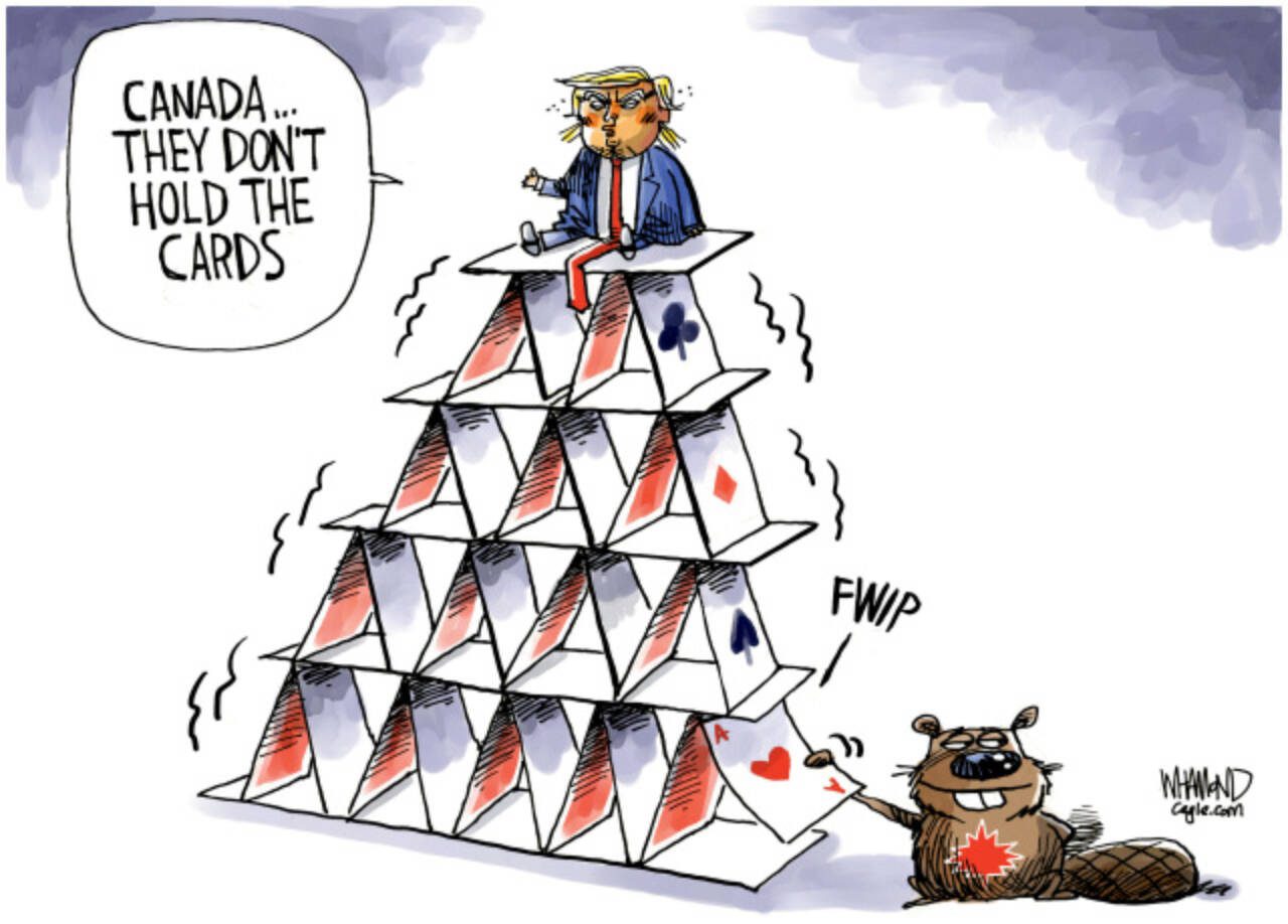 toon