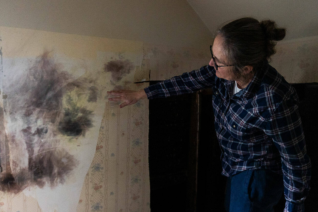 Jeannie Nicholos points out some of the multi-colored marks on her office wall left by lighting that struck the outside of her home and traveled inside on Thursday, March 27, 2025 in Everett, Washington. (Olivia Vanni / The Herald)