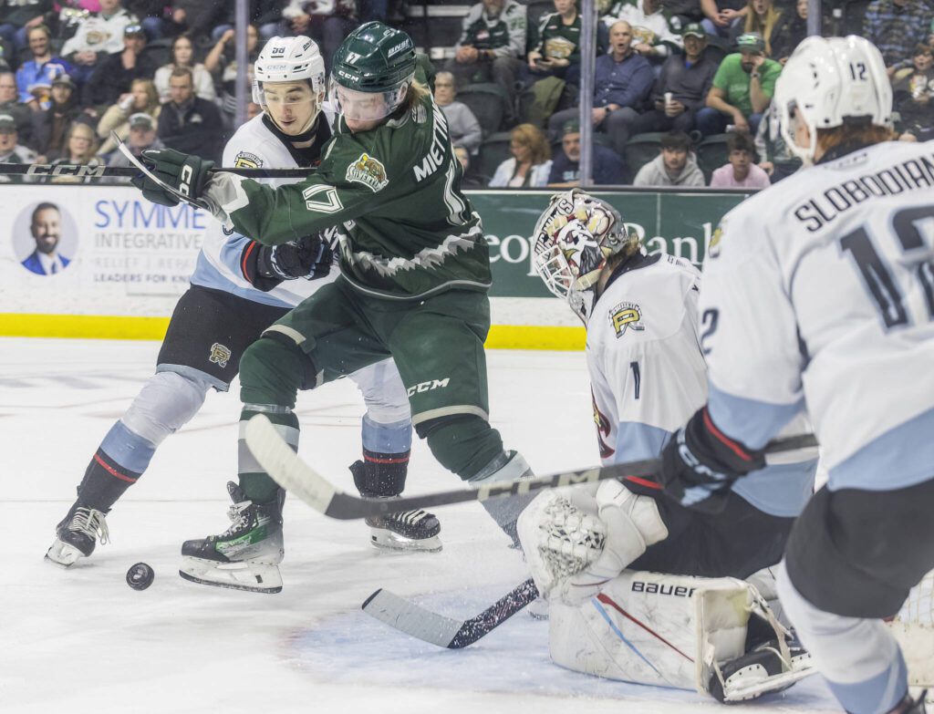 Everett Silvertips’ forward Julius Miettinen scrambles for a loose puck in front of the goal during game seven of the second round of the WHL playoffs against the Portland Winterhawks on Tuesday, April 22, 2025 in Everett, Washington. (Olivia Vanni / The Herald)
