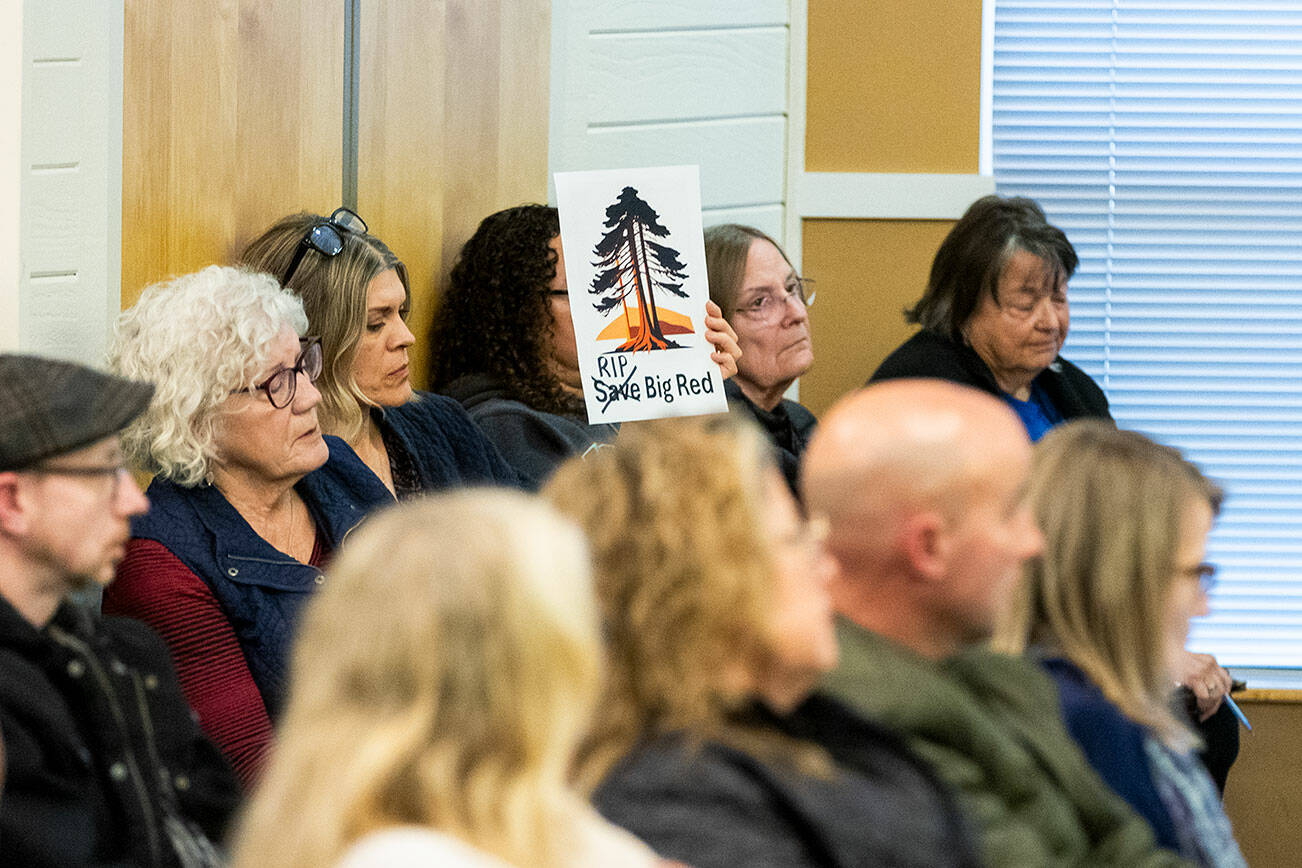 A person holds a sign referencing the recent demolition of a 100-year-old California coast redwood during a city council meeting on Monday, April 21, 2025 in Edmonds, Washington. (Olivia Vanni / The Herald)