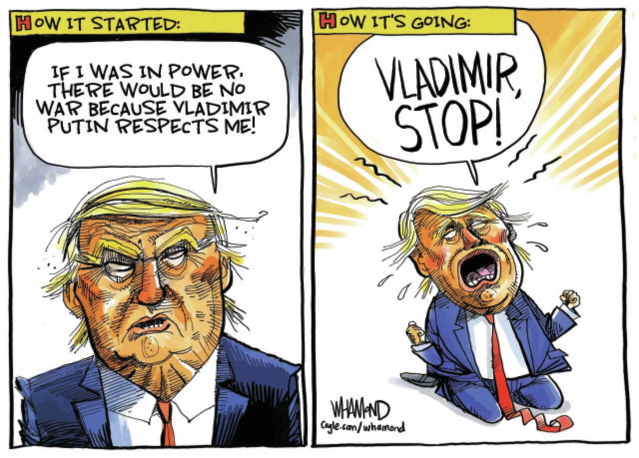 toon