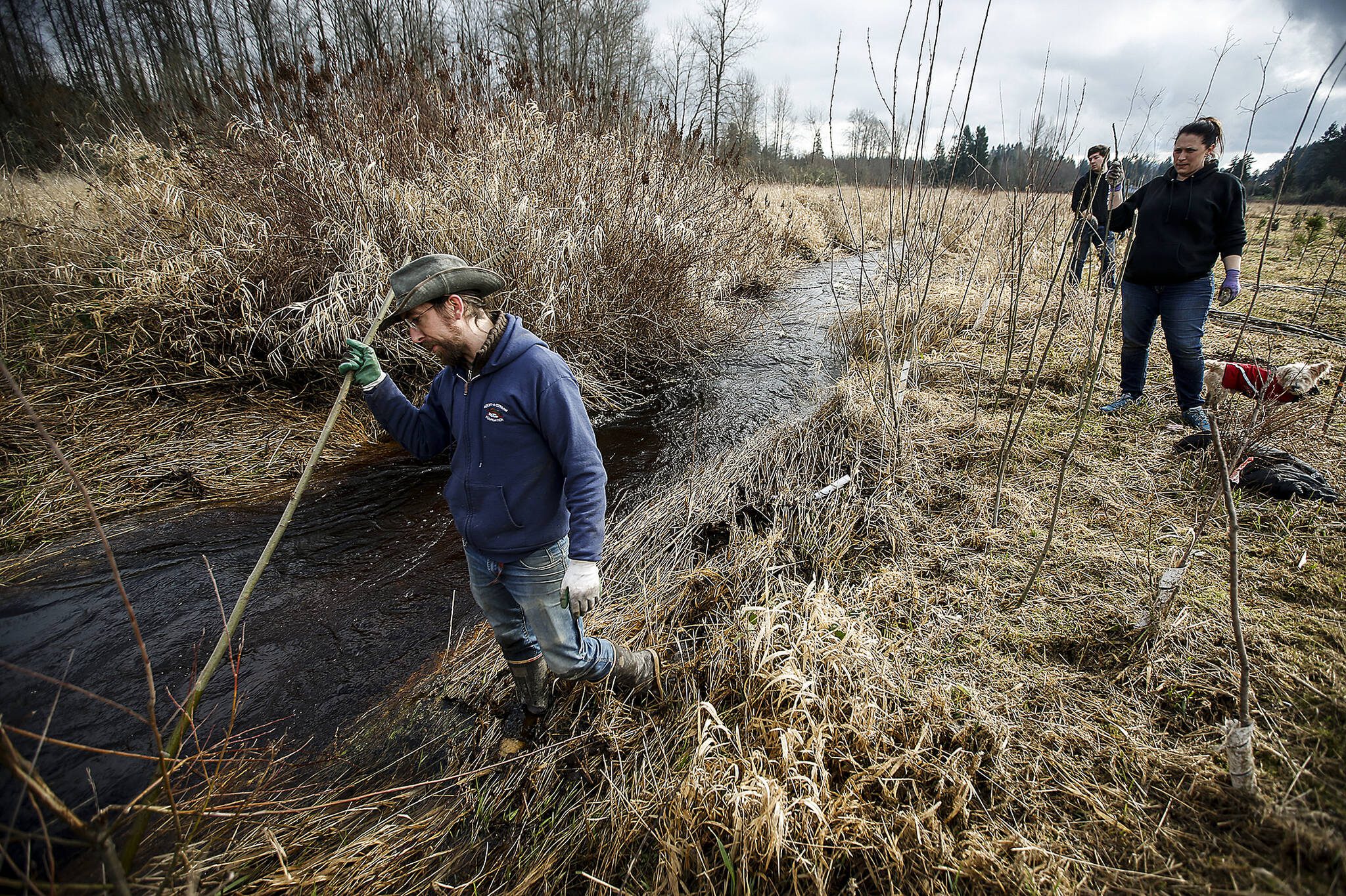 Zachary Mallon, an ecologist with the Adopt A Stream Foundation, checks the banks of Catherine Creek in 2018. Four salmon recovery and habitat conservation projects in Snohomish County received over $1.9 million in state funding on Monday. (Ian Terry / The Herald)